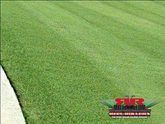 Reel Rollers TRU-Cut 27
