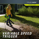 GreenWorks STBA40B210 G-MAX 40V Cordless String Trimmer and Blower Combo Pack